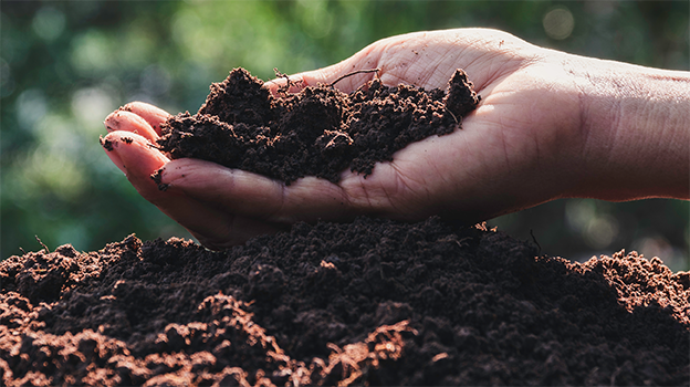 Soil